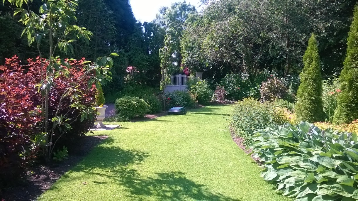 Visuel présentant le résultat de l'installation pour la référence : Magnifique jardin chez Mickael (Mai 2015)